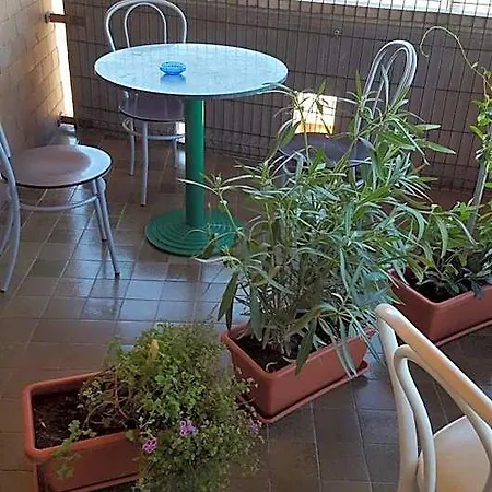 Nancy House בית הארחה